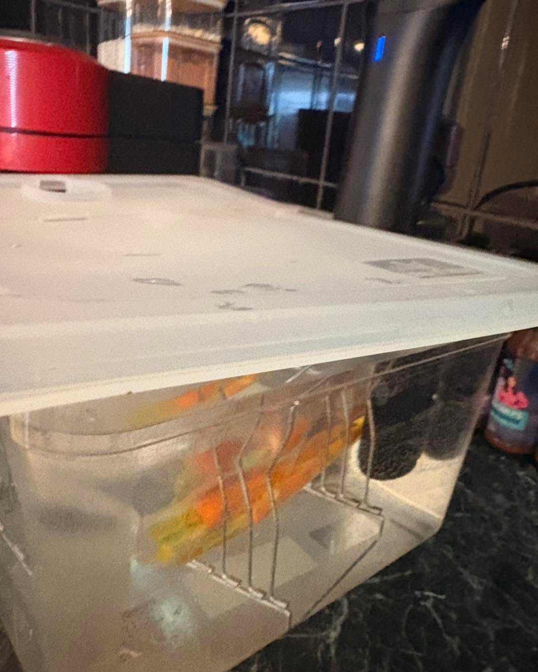 And so it begins! 

#Christmasdinner